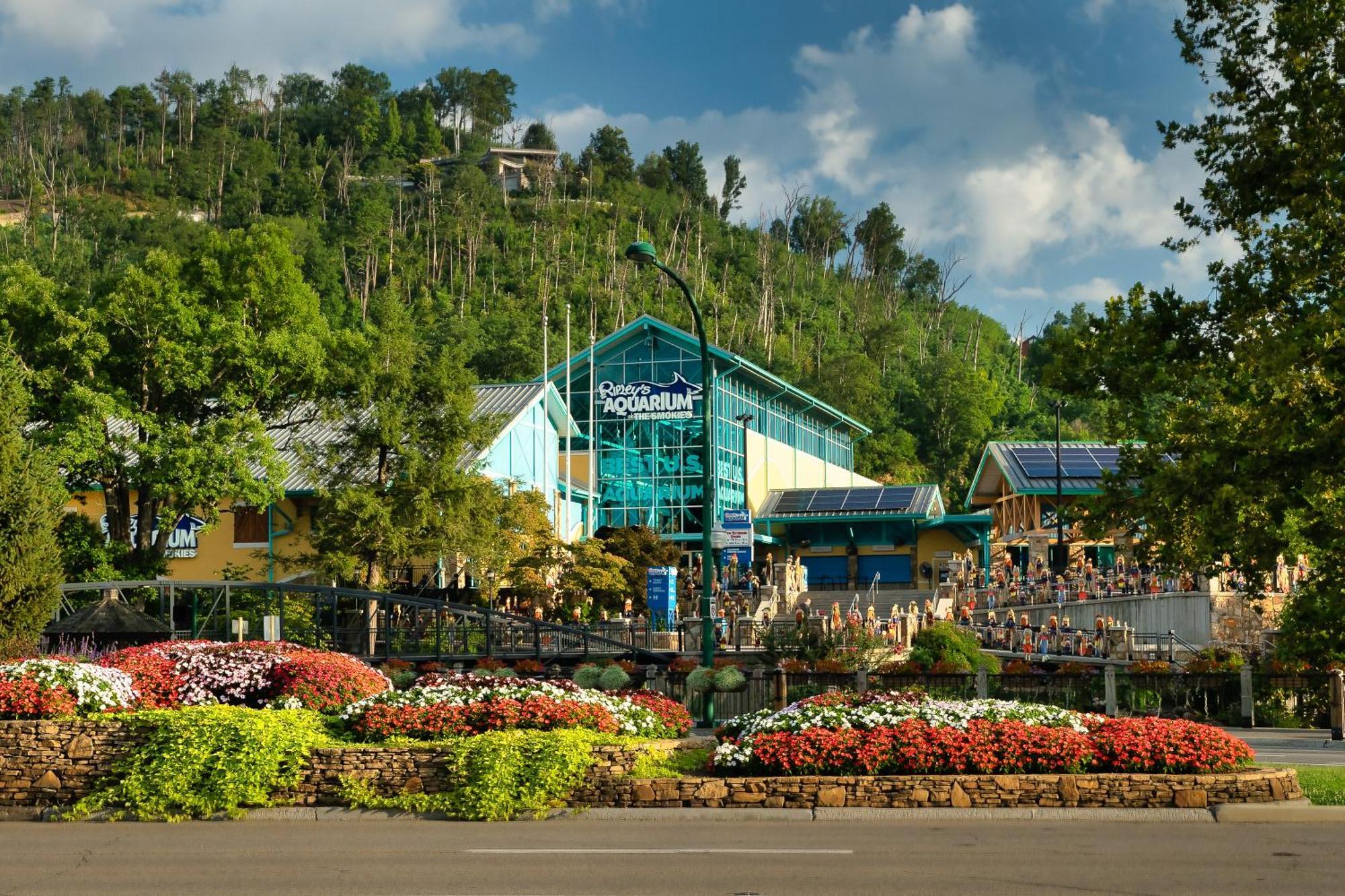 Mountain Time Hébergement de vacances Gatlinburg