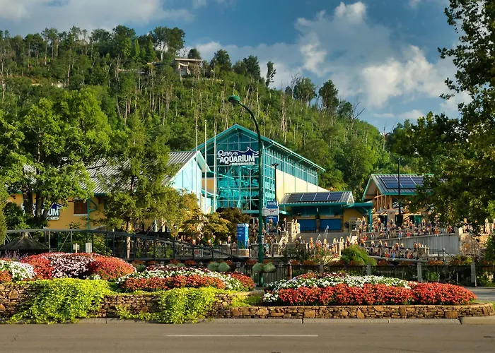 Mountain Time Lodge